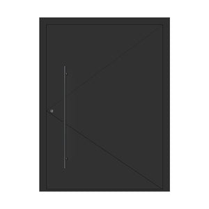 Linea Series Abstract Geometric Line 003_03 Aluminum Entry Piovt Doors