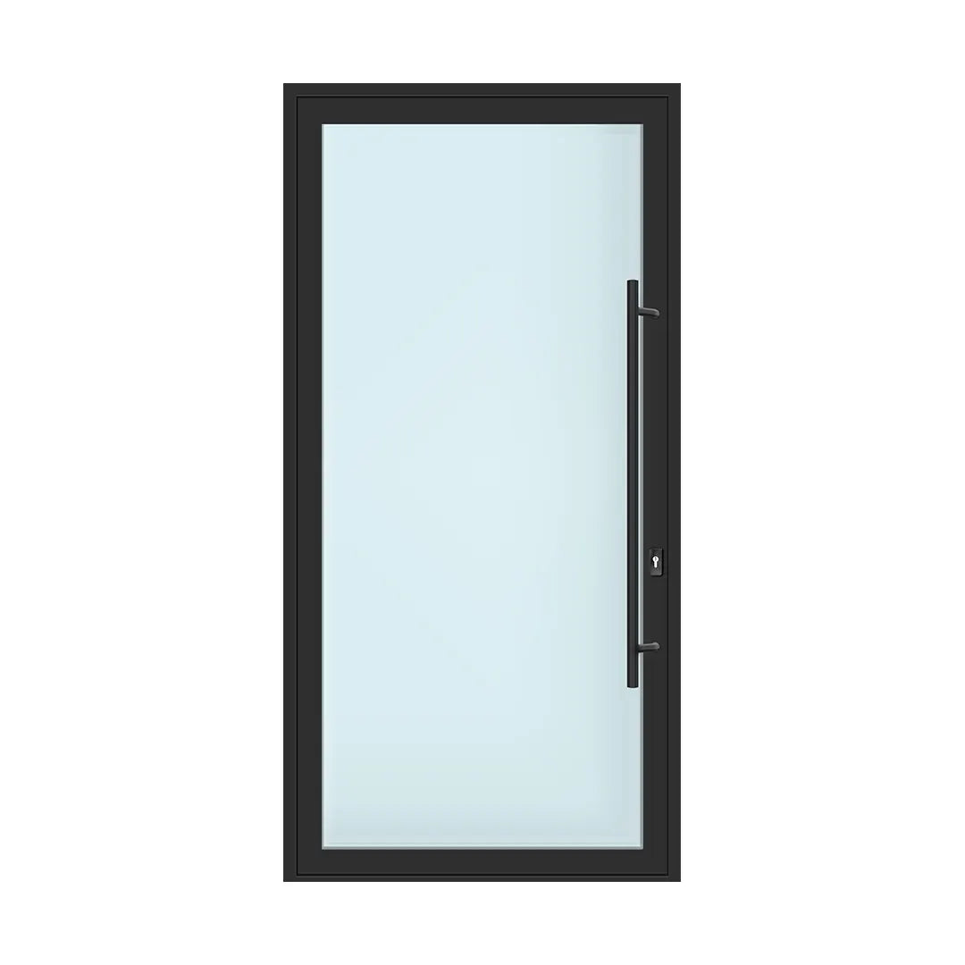 G301 Aluminum Glass Entrance Piovt Front Doors